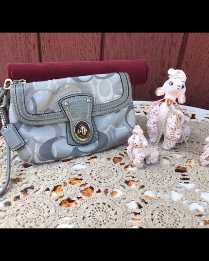 Beautiful Silver Coach wristlet LN