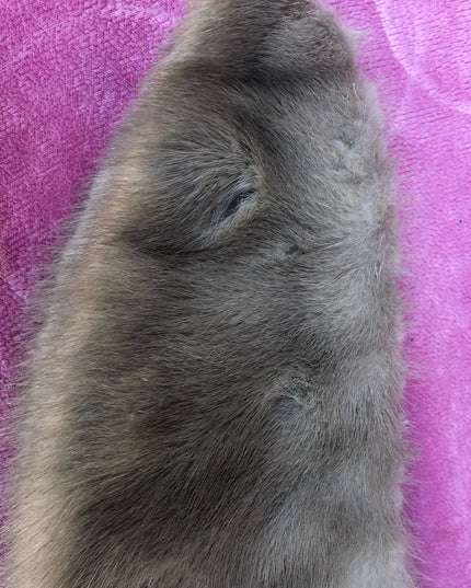 Vintage 44” Silver Mink fur stole collar scarf