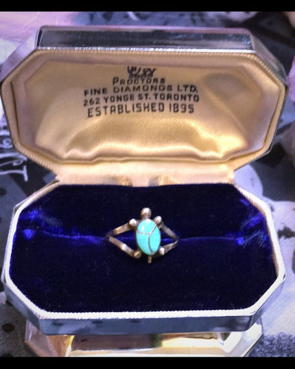 VTG sterling silver 925 turquois Turtle native american southwestern