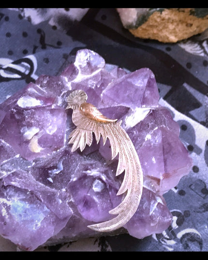 Antique sterling bird brooch 5cm c clip etched