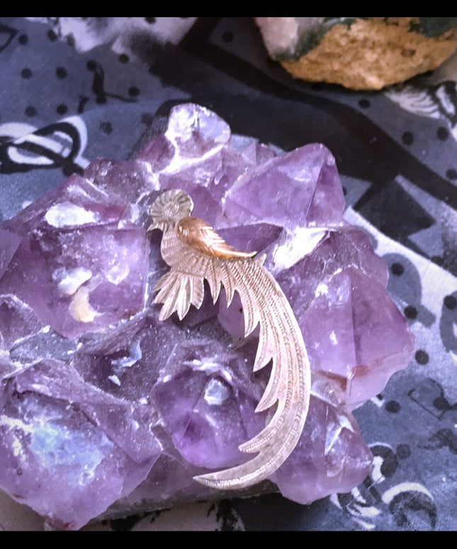 Antique sterling bird brooch 5cm c clip etched