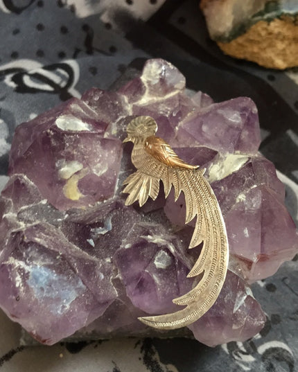 Antique sterling bird brooch 5cm c clip etched