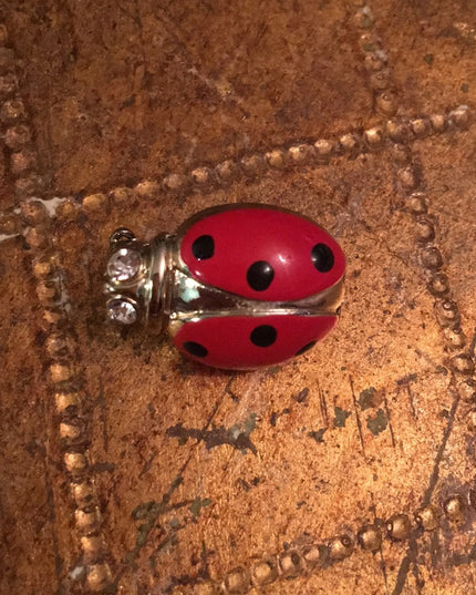 Small Ladybug 🐞 lady bug brooch