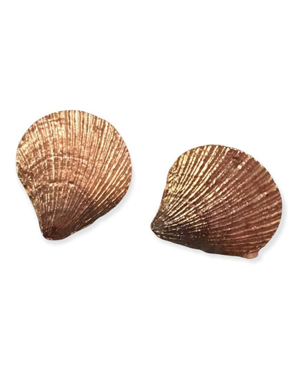 Vintage gold metal heavy shell clip on earrings