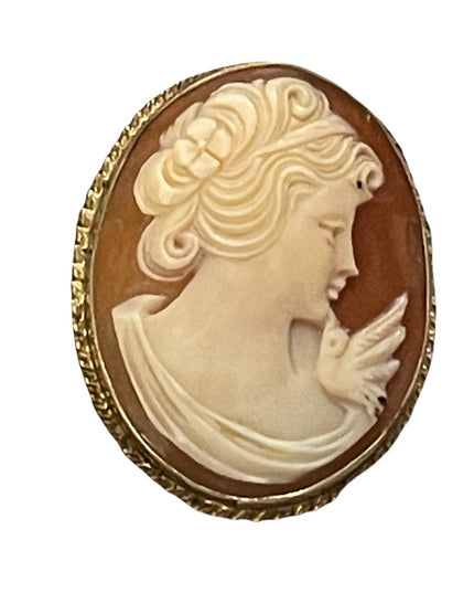 Vintage 1960s “Rainbow” gold filled shell cameo brooch necklace pendant