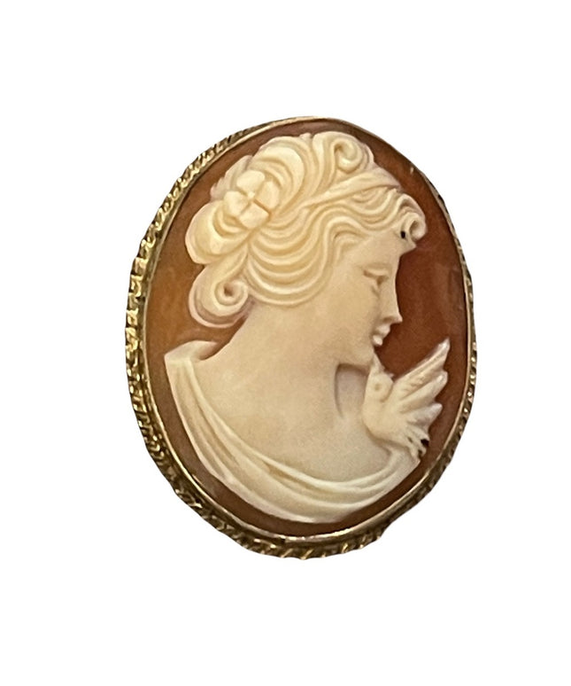 Vintage 1960s “Rainbow” gold filled shell cameo brooch necklace pendant