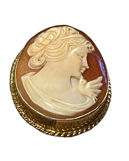 Vintage 1960s “Rainbow” gold filled shell cameo brooch necklace pendant