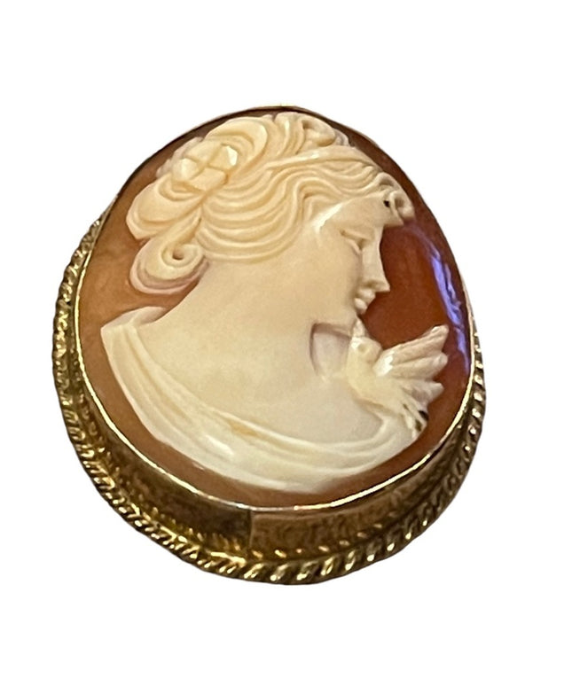 Vintage 1960s “Rainbow” gold filled shell cameo brooch necklace pendant