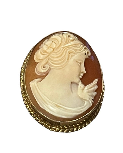 Vintage 1960s “Rainbow” gold filled shell cameo brooch necklace pendant