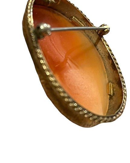 Vintage 1960s “Rainbow” gold filled shell cameo brooch necklace pendant