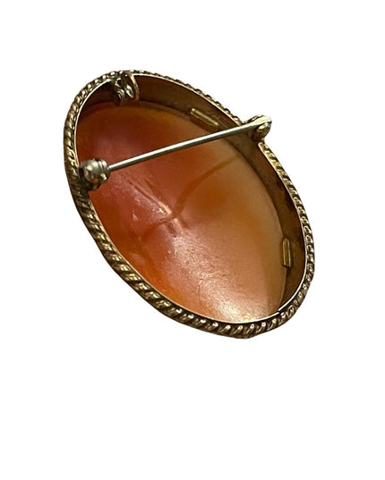 Vintage 1960s “Rainbow” gold filled shell cameo brooch necklace pendant
