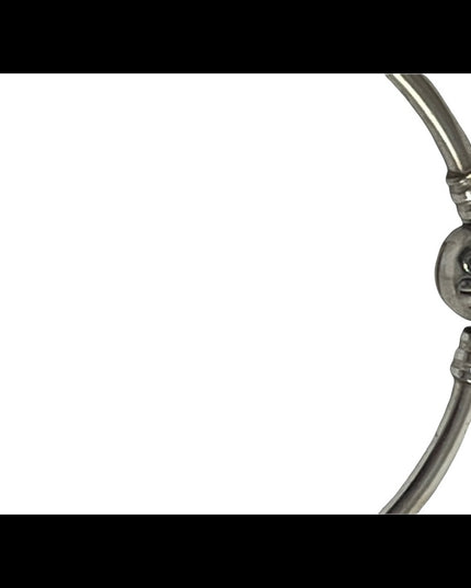 Sterling silver 925 ALE Pandora bangle charm bracelet