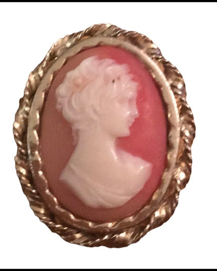 Vintage Resin 1970s Cameo Scarf clip accessory