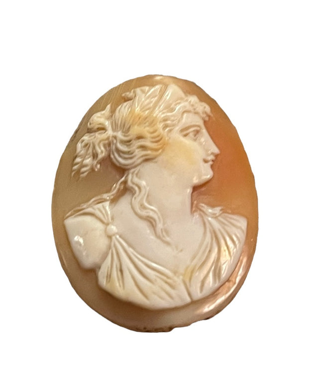 Antique Hand carved unframed Shell cameo goddess