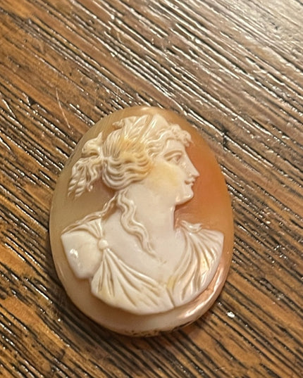 Antique Hand carved unframed Shell cameo goddess