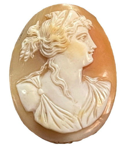 Antique Hand carved unframed Shell cameo goddess