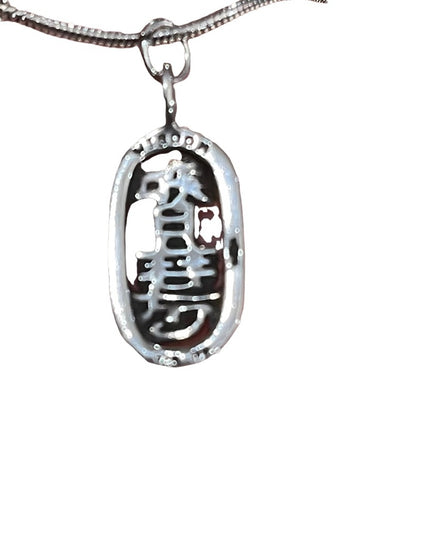 Vintage Sterling silver 925 chinese Wisdom Pendant rope necklace chain