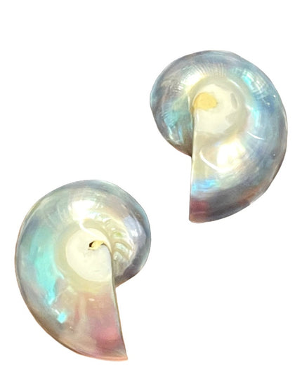 Vintage Nautilus shell earrings