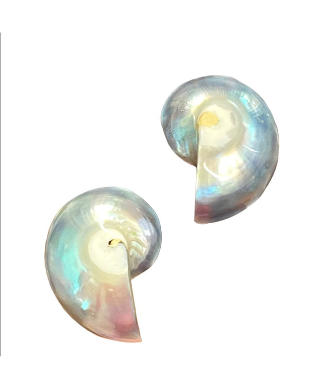 Vintage Nautilus shell earrings