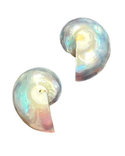 Vintage Nautilus shell earrings