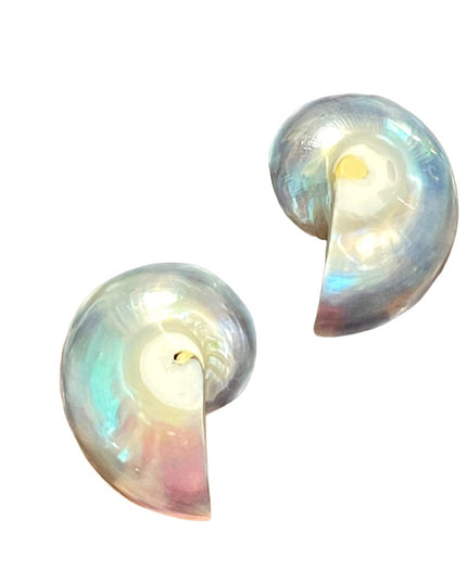Vintage Nautilus shell earrings