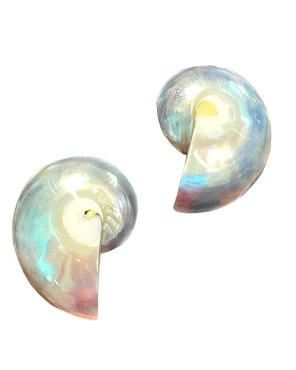 Vintage Nautilus shell earrings