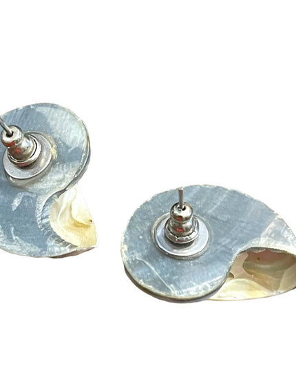 Vintage Nautilus shell earrings