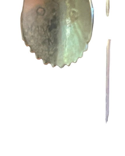 Silver Alpaca MEXICO MOP mother of pearl feather dangle earrings