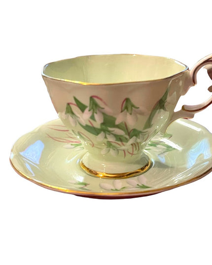 Vintage Royal Albert Laurentian Snow drop Tea cup& Saucer pastel England floral