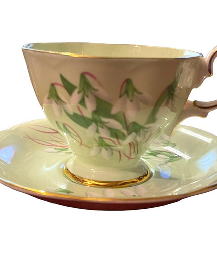 Vintage Royal Albert Laurentian Snow drop Tea cup& Saucer pastel England floral