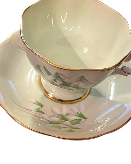 Vintage Royal Albert Laurentian Snow drop Tea cup& Saucer pastel England floral