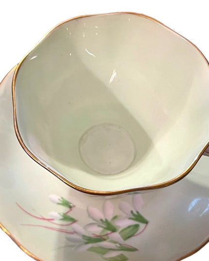 Vintage Royal Albert Laurentian Snow drop Tea cup& Saucer pastel England floral