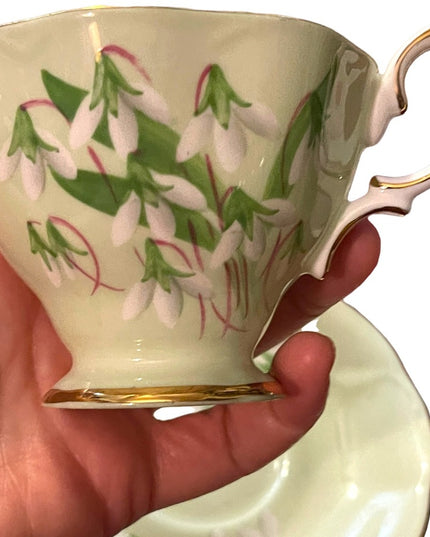 Vintage Royal Albert Laurentian Snow drop Tea cup& Saucer pastel England floral