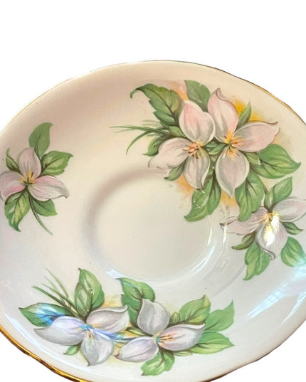 Vintage Royal Stafford White Trillium tea cup & saucer Bone china England