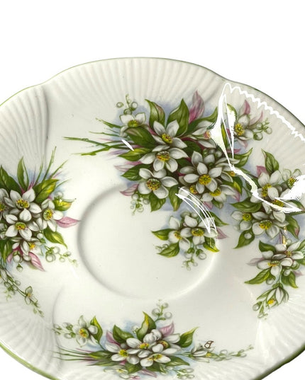 Vintage Royal Albert Orange Blossom time series Tea cup & saucer set England