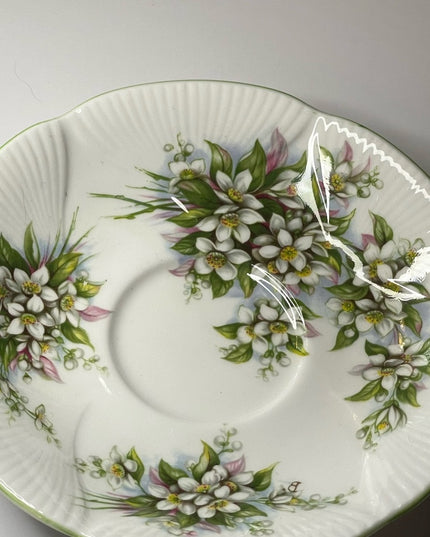 Vintage Royal Albert Orange Blossom time series Tea cup & saucer set England