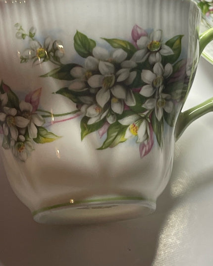 Vintage Royal Albert Orange Blossom time series Tea cup & saucer set England