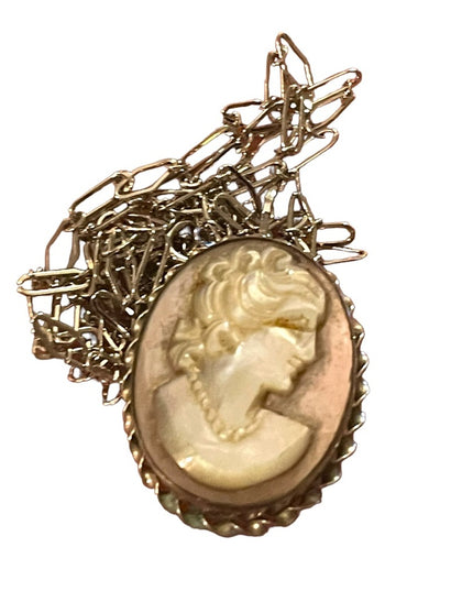 Vintage Sterling Abalone Shell cameo Brooch pendant necklace with SS chain