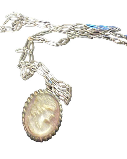 Vintage Sterling Abalone Shell cameo Brooch pendant necklace with SS chain