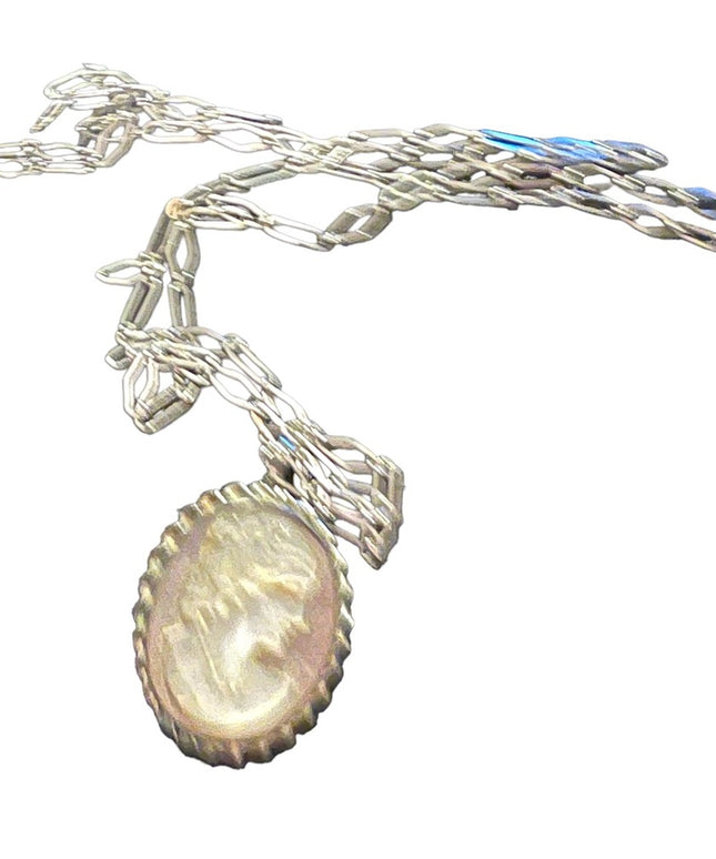 Vintage Sterling Abalone Shell cameo Brooch pendant necklace with SS chain