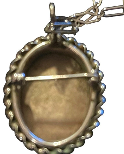 Vintage Sterling Abalone Shell cameo Brooch pendant necklace with SS chain