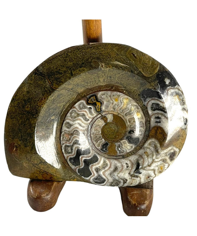 Large Ammonite Fossil with stand Lovely specimin