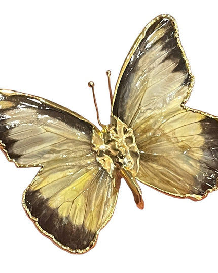 Vintage Authentic REAL BUTTERFLY gold plated Brooch pendant Handmade