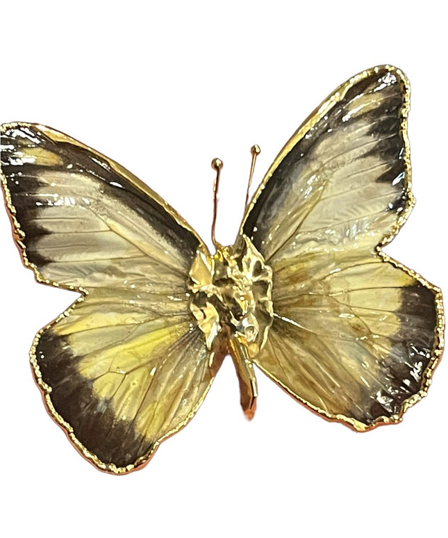 Vintage Authentic REAL BUTTERFLY gold plated Brooch pendant Handmade