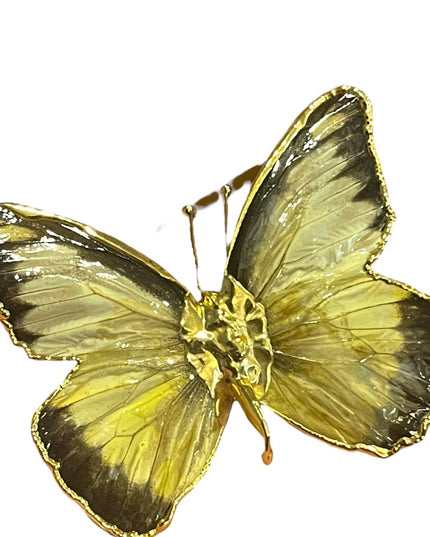 Vintage Authentic REAL BUTTERFLY gold plated Brooch pendant Handmade