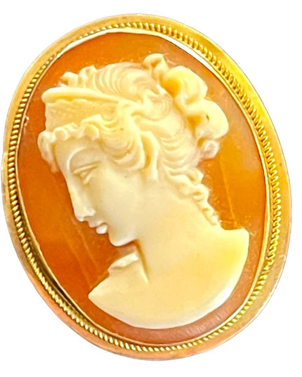 Vintage 14k Gold shell Cameo necklace Pendant Lady brooch
