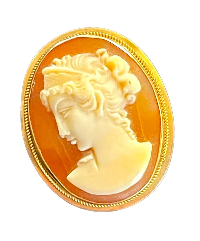 Vintage 14k Gold shell Cameo necklace Pendant Lady brooch