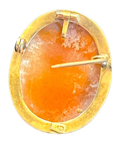 Vintage 14k Gold shell Cameo necklace Pendant Lady brooch