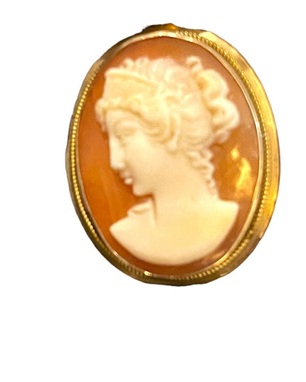 Vintage 14k Gold shell Cameo necklace Pendant Lady brooch