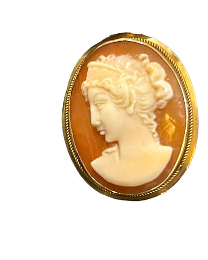 Vintage 14k Gold shell Cameo necklace Pendant Lady brooch